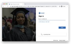 MS Sign In.jpg